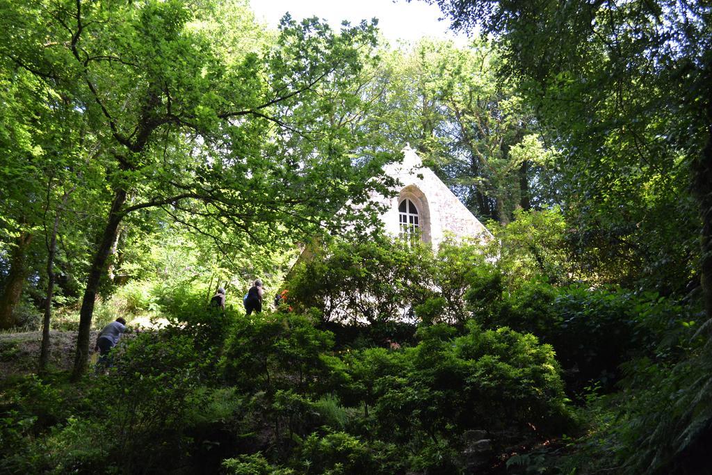 Le Gite De L'Araucaria Ploërdut Εξωτερικό φωτογραφία