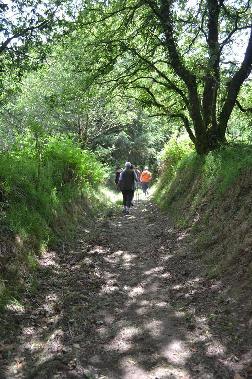 Le Gite De L'Araucaria Ploërdut Εξωτερικό φωτογραφία